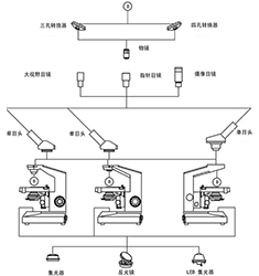 BI-13 单目生物显微镜