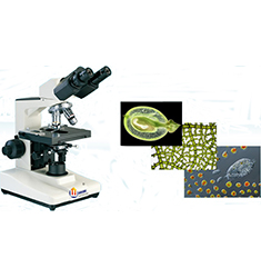 BI-18 双目生物显微镜