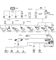 BI-19 双目生物显微镜