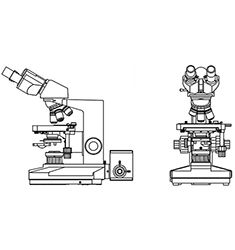 BI-22 双目生物显微镜