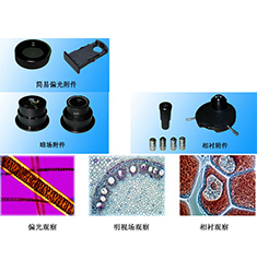 BI-24 双目生物显微镜