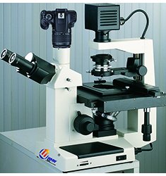 BIAS-200 倒置相衬生物显微镜分析系统