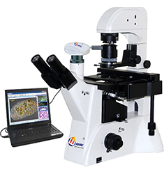 BIAS-600 透射微分干涉相衬生物显微镜分析系统