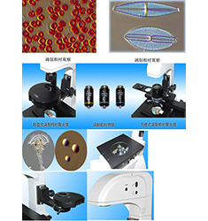 BID-400 倒置偏光调制相衬生物显微镜