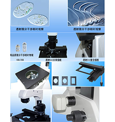BID-600 倒置透射微分干涉相衬生物显微镜