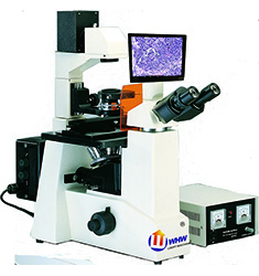 FBAS-100 倒置相衬四色落射荧光显微镜分析系统