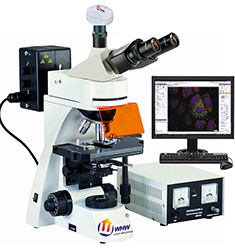FBAS-400 正置无限远落射荧光显微镜分析系统