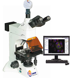FBAS-500 正置无限远落射荧光显微镜分析系统