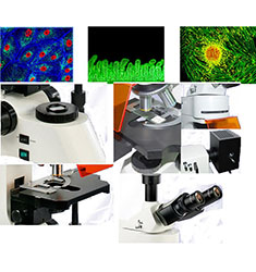 FM-600 正置无限远LED落射荧光显微镜