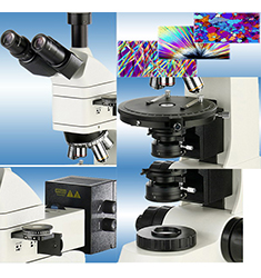 PM-14 无限远光学透反射偏光显微镜