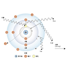 EDX-7000 能量色散型X射线荧光光谱仪