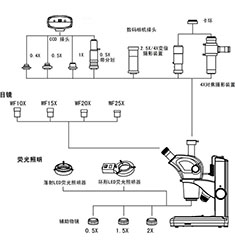 SMAS-17 体视显微镜图像测量分析系统